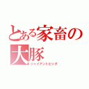 とある家畜の大豚（ジャイアントピッグ）