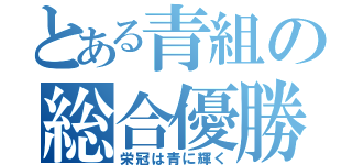 とある青組の総合優勝（栄冠は青に輝く）