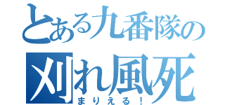 とある九番隊の刈れ風死（まりえる！）