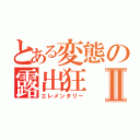 とある変態の露出狂Ⅱ（エレメンタリー）