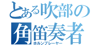 とある吹部の角笛奏者（ホルンプレーヤー）