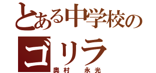 とある中学校のゴリラ（奥村　永光）