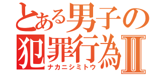 とある男子の犯罪行為Ⅱ（ナカニシミトウ）