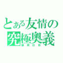 とある友情の究極奧義（録照日影）