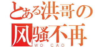 とある洪哥の风骚不再（ＷＯ ＣＡＯ）