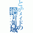 とあるメイドの絶対領域（ニーハイ）