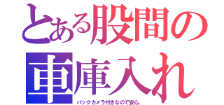 とある股間の車庫入れ（バックカメラ付きなので安心。）