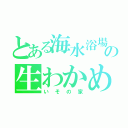 とある海水浴場の生わかめ（いその家）