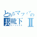 とあるマフィアの長靴下Ⅱ（ニーソックス）