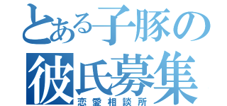 とある子豚の彼氏募集枠（恋愛相談所）