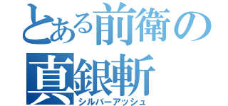 とある前衛の真銀斬（シルバーアッシュ）