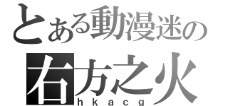 とある動漫迷の右方之火（ｈｋａｃｇ）