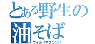 とある野生の油そば（ワイルドアブラソバ）