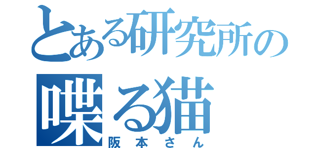 とある研究所の喋る猫（阪本さん）