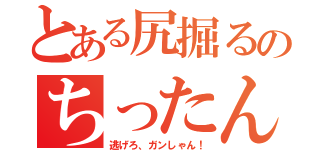 とある尻掘るのちったん（逃げろ、ガンしゃん！）