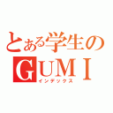 とある学生のＧＵＭＩ中毒（インデックス）