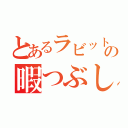 とあるラビットの暇つぶし（）