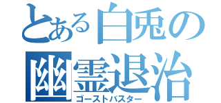 とある白兎の幽霊退治（ゴーストバスター）