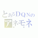 とあるＤＱＮのアネモネ（掃除）