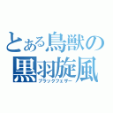 とある鳥獣の黒羽旋風（ブラックフェザー）