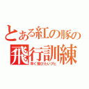 とある紅の豚の飛行訓練（早く飛びたいブヒ）