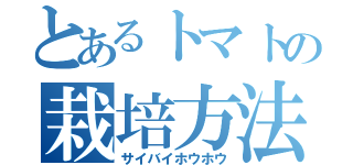 とあるトマトの栽培方法（サイバイホウホウ）