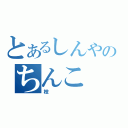 とあるしんやのちんこ（枝）