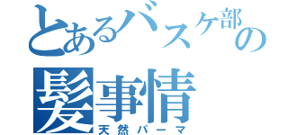 とあるバスケ部の髪事情（天然パーマ）