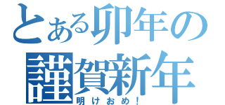 とある卯年の謹賀新年（明けおめ！）