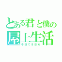 とある君と僕の屋上生活（今日で５日め）