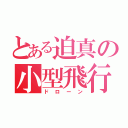 とある迫真の小型飛行機（ドローン）