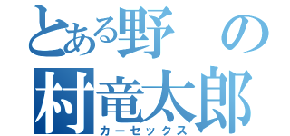 とある野の村竜太郎（カーセックス）