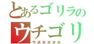 とあるゴリラのウチゴリラ（ウホホホホホ）