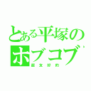 とある平塚のホブコブリン（超友好的）