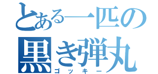 とある一匹の黒き弾丸（ゴッキー）