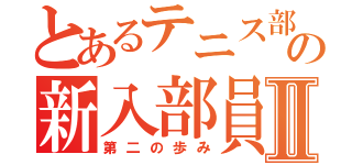 とあるテニス部の新入部員Ⅱ（第二の歩み）