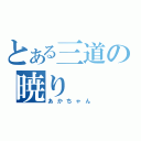 とある三道の暁り（あかちゃん）