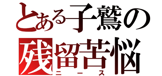 とある子鷲の残留苦悩（ニース）