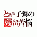 とある子鷲の残留苦悩（ニース）