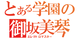 とある学園の御坂美琴（エレクトロマスター）