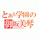 とある学園の御坂美琴（エレクトロマスター）