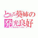 とある葵姉の発光良好（光ればいいのに）