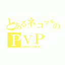 とあるネコマルのＰＶＰ（次回作ＰＶＰ制作中！）