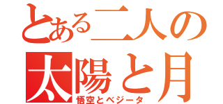 とある二人の太陽と月（悟空とベジータ）