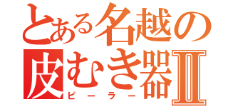 とある名越の皮むき器Ⅱ（ピーラー）