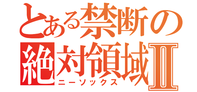 とある禁断の絶対領域Ⅱ（ニーソックス）