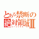 とある禁断の絶対領域Ⅱ（ニーソックス）