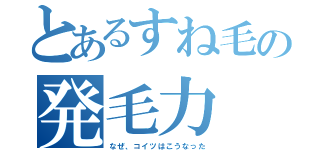 とあるすね毛の発毛力（なぜ、コイツはこうなった）