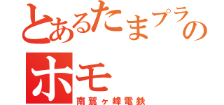 とあるたまプラーザのホモ（南鷲ヶ峰電鉄）