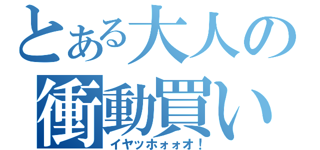 とある大人の衝動買い（イヤッホォォオ！）